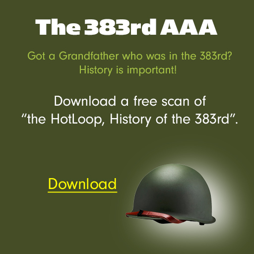 383rd Battalion helmet insignia – click for Hot Loop personnel PDF